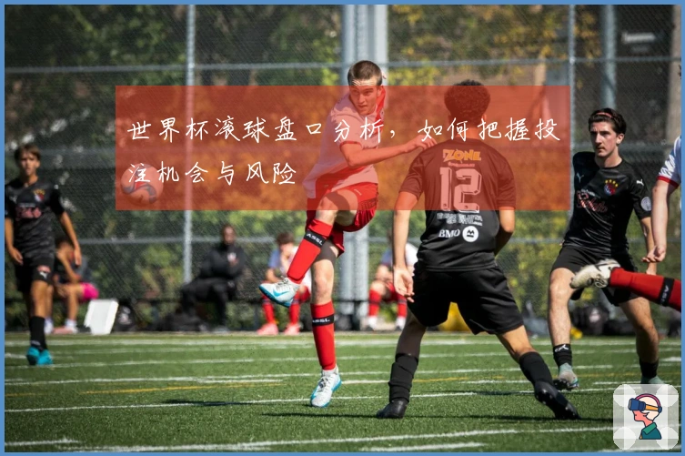 世界杯滚球盘口分析，如何把握投注机会与风险