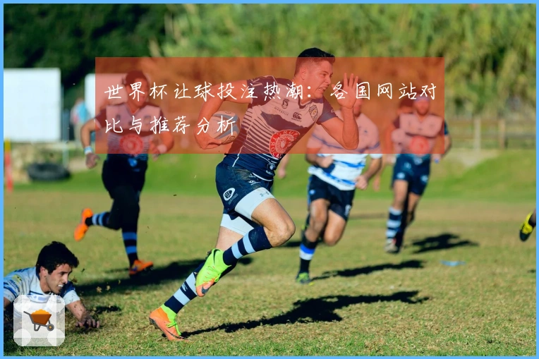 世界杯让球投注热潮：各国网站对比与推荐分析