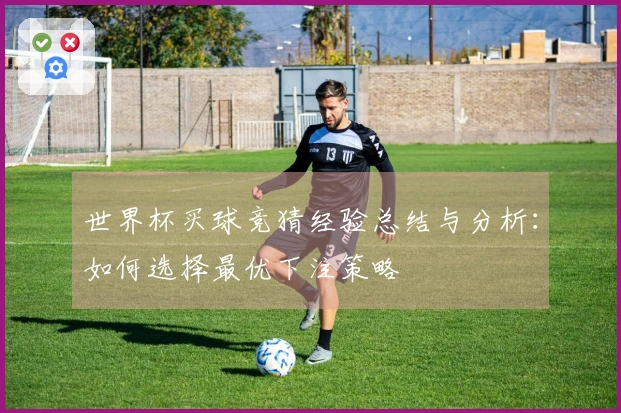 世界杯买球竞猜经验总结与分析：如何选择最优下注策略