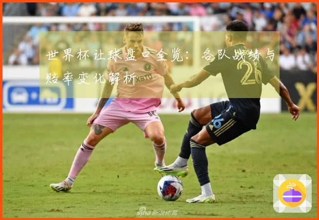 世界杯让球盘口全览：各队战绩与赔率变化解析