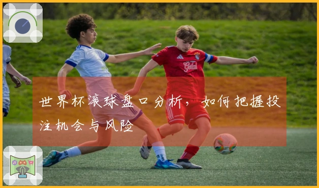 世界杯滚球盘口分析，如何把握投注机会与风险