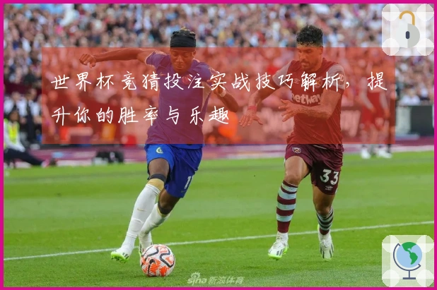 世界杯竞猜投注实战技巧解析，提升你的胜率与乐趣